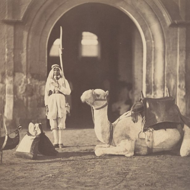 Soldat et chameau militaire, Le Caire - 1866
